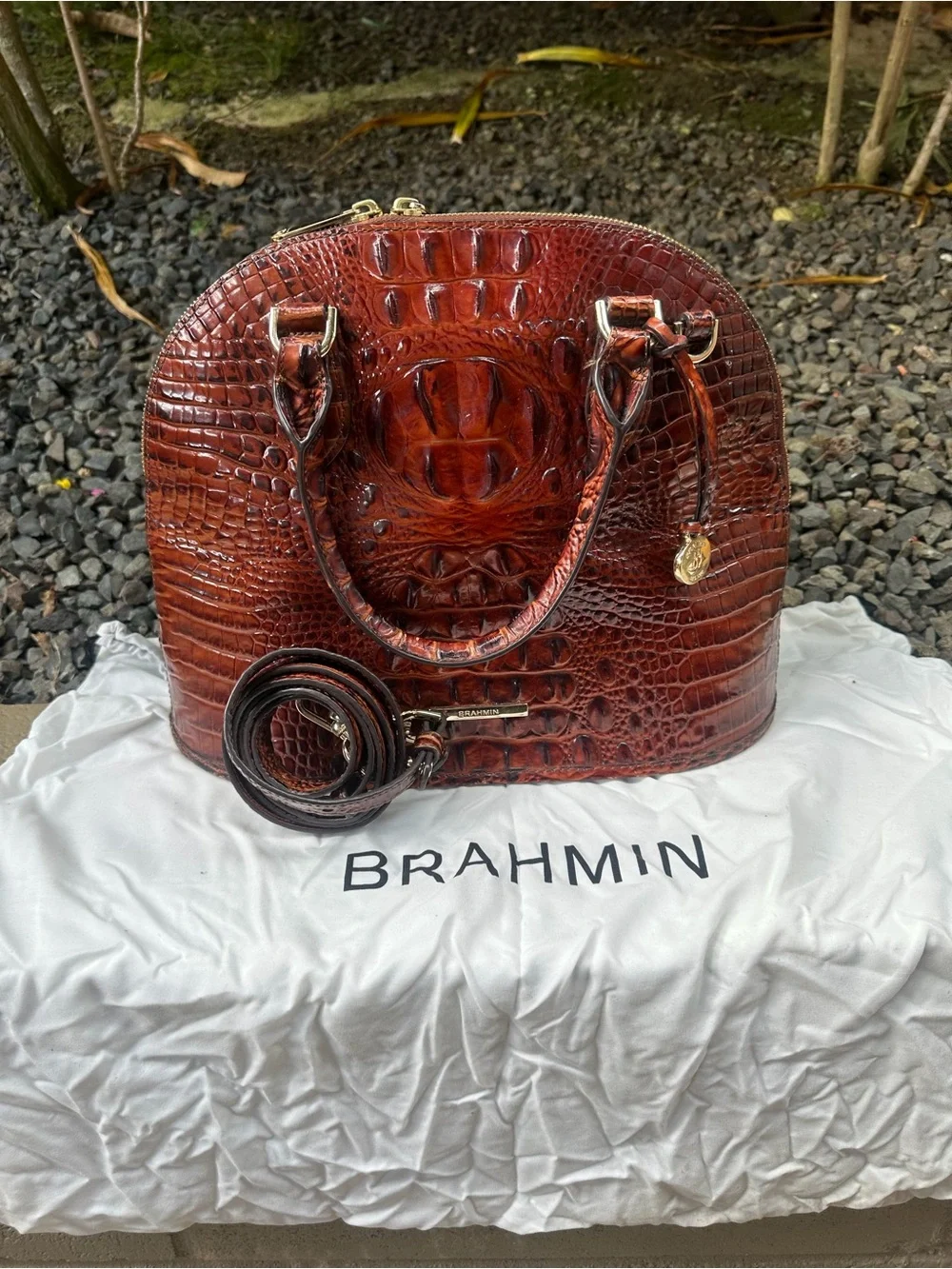 Brahmin Dome Satchel in Rich Chestnut Brown Croc-Embossed Leather
